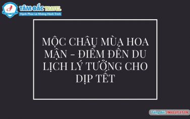 Mộc Châu mùa hoa mận - điểm đến du lịch lý tưởng vào dịp tết